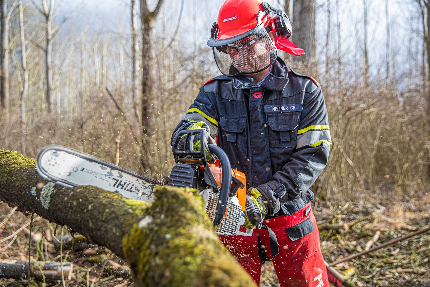 Tree Service